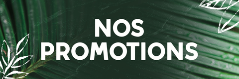 Nos promotions