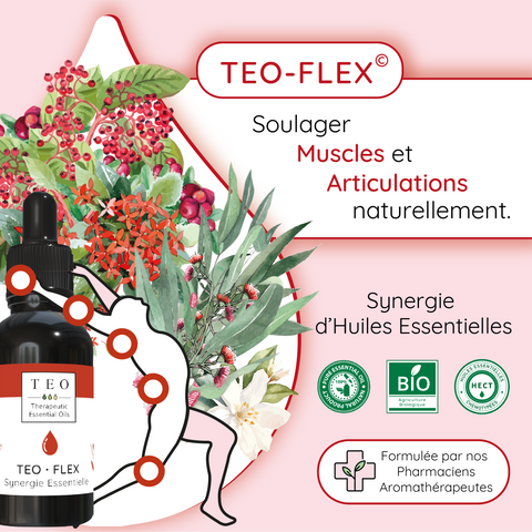 Teo Flex soulager les douleurs musculaires et articulaires - 10ml