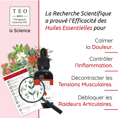 Teo Flex soulager les douleurs musculaires et articulaires - 10ml