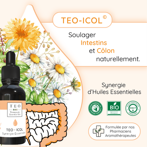 Teo Icol Inconfort Digestif - 10 Ml