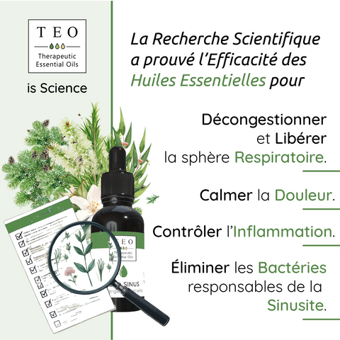 Teo Sinus libérer son sinus - 10ml