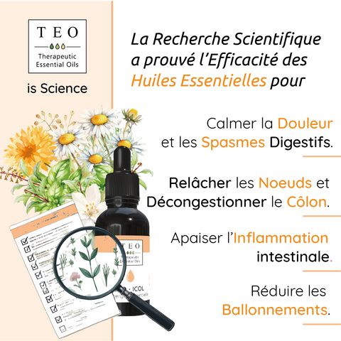 Teo Icol Inconfort Digestif - 10 Ml