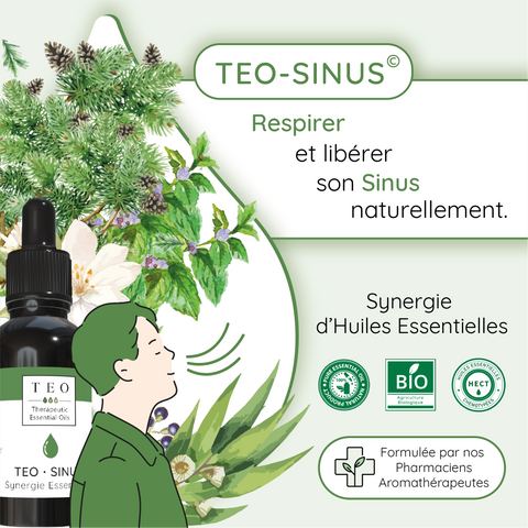 Teo Sinus libérer son sinus - 10ml