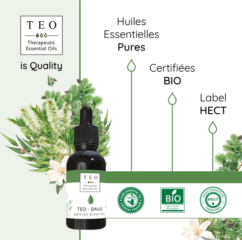 Teo Sinus libérer son sinus - 10ml