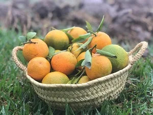 Clementines Bio (1 KG)